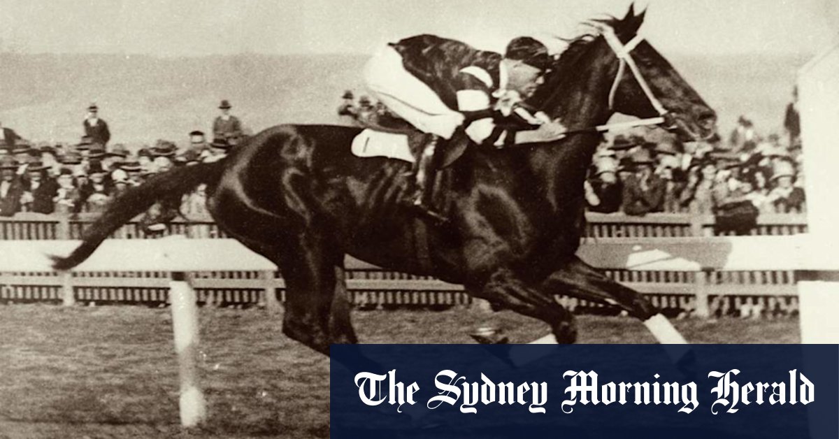 Killing Phar Lap: 'Fake' heart DNA tested amid battle to solve mystery of champion's death - Vimarsana News