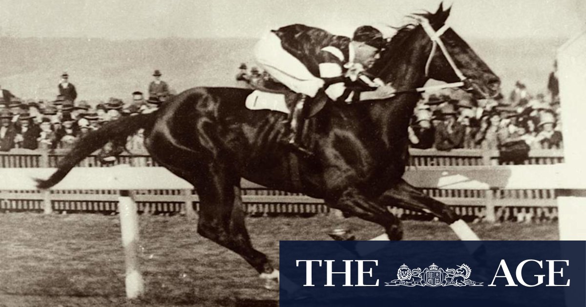 Killing Phar Lap: 'Fake' heart DNA tested amid battle to solve mystery of champion's death - Vimarsana News