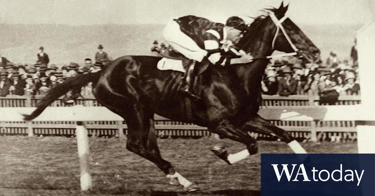 Killing Phar Lap: 'Fake' heart DNA tested amid battle to solve mystery of champion's death - Vimarsana News