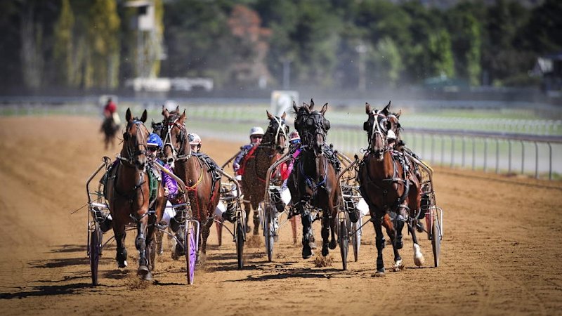 Harness racing officials sue media company over doping articles