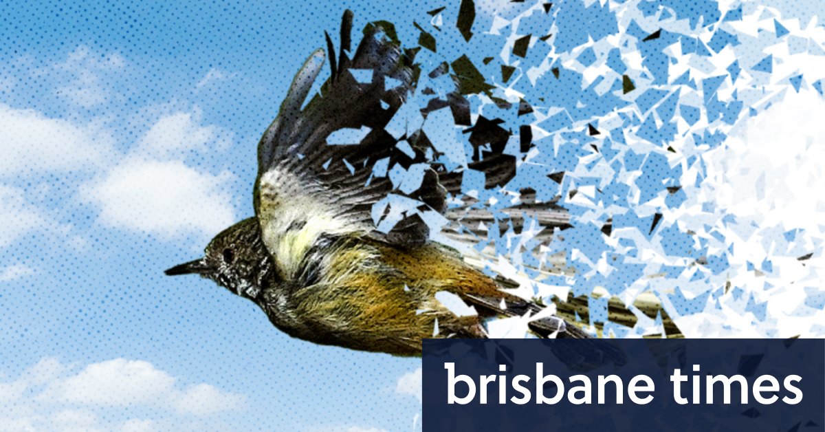 Australia's endangered species: Is Labor, Tanya Plibersek doing all they can? - Vimarsana News