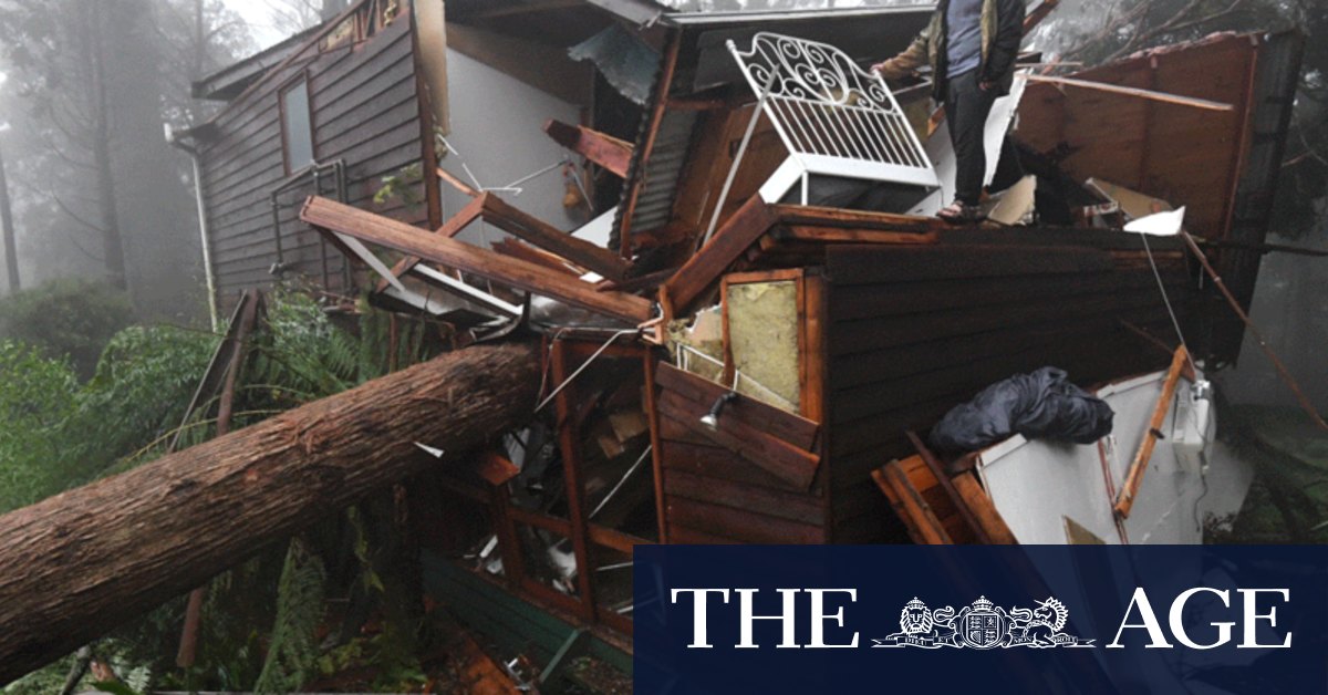 Victoria weather: Man found dead in floodwaters, Gippsland town evacuated, thousands face prospect of no power for up to a week - Vimarsana News