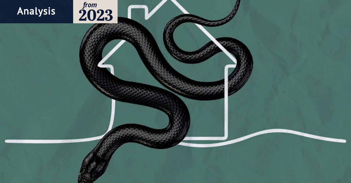 RBA interest rate python threatening to squeeze the life out of the economy