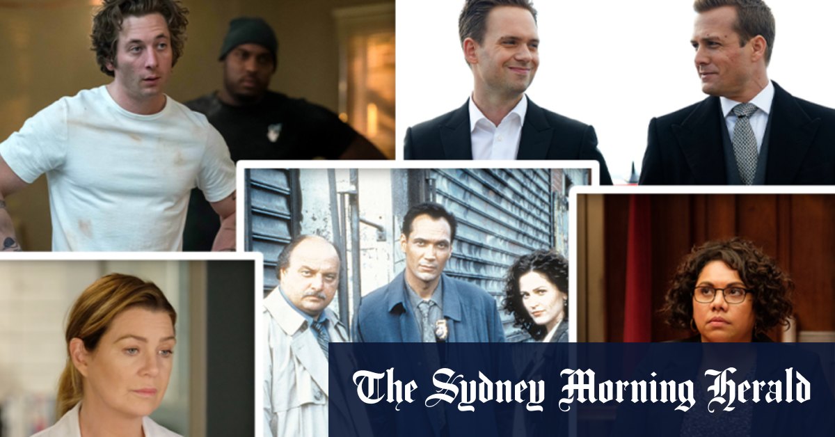 The Bear, Suits, ER, Fisk: How chefs, doctors, lawyers, politicians feel about their jobs on-screen - Vimarsana News