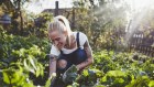 Gardening gets a double tick for exercise and happiness.