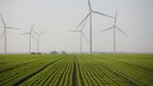 A Coalition government would open up a government underwriting system for solar and wind farms to gas power stations.