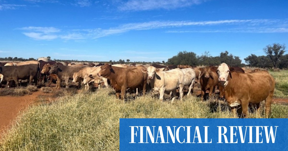 Pastoral Partners Australia: Cashed-up carbon farming fund lifts portfolio to 106,000ha - Vimarsana News