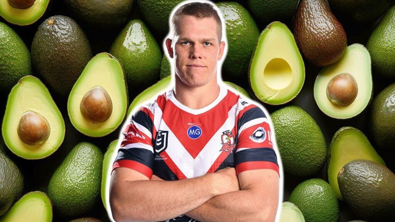NRL 2023 How Lindsay Collins avocado obsession fuelled his