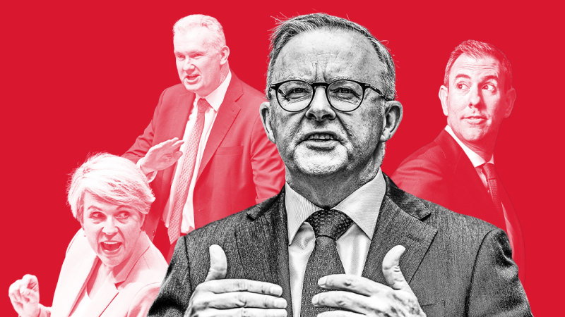 Does Anthony Albanese have a succession plan? The most and least likely contenders
