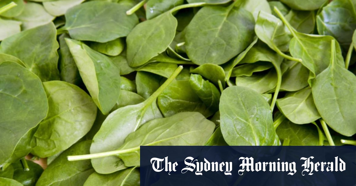 Zadzwoń do australijskiego szpinaku w Coles, dołącz do Costo, Woolworths i Aldi