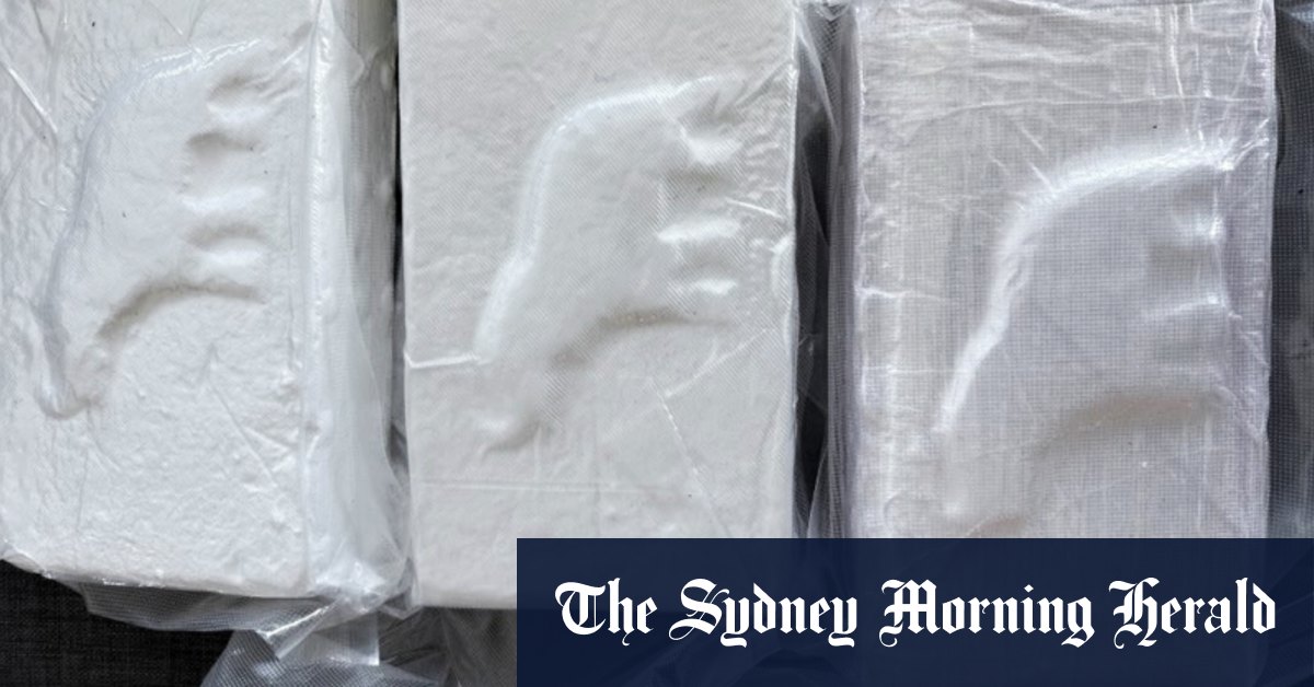 Cocaine imports lead to 100 companies being put on a watchlist