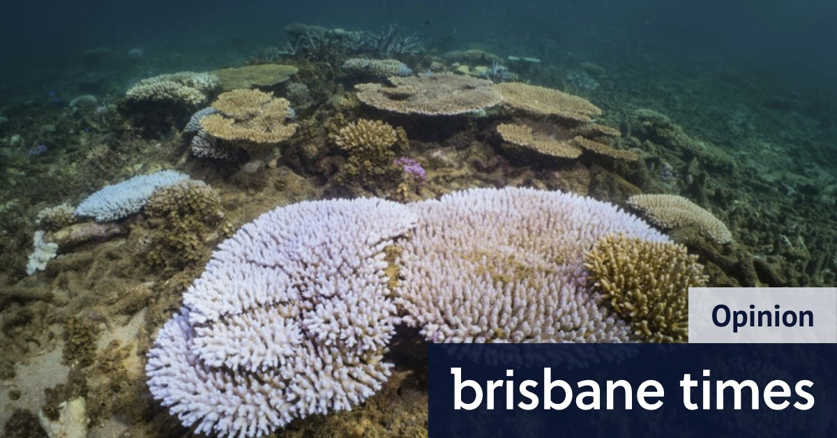Saat karang WA memutih di Ningaloo dan Kimberley, tanda-tanda peringatan tidak dapat lagi diabaikan kata aktivis Paul Gamblin