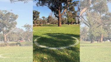 'Physical-distancing circles' in Princes Park, Carlton.