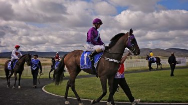 The Fred Cooper Cup is the big one at Goulburn on Thursday.