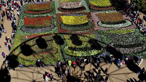 Floriade, the view from the ferris wheel.