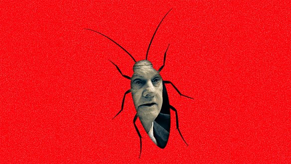 Independent NSW MP Mark Latham has crawled around public life for decades.