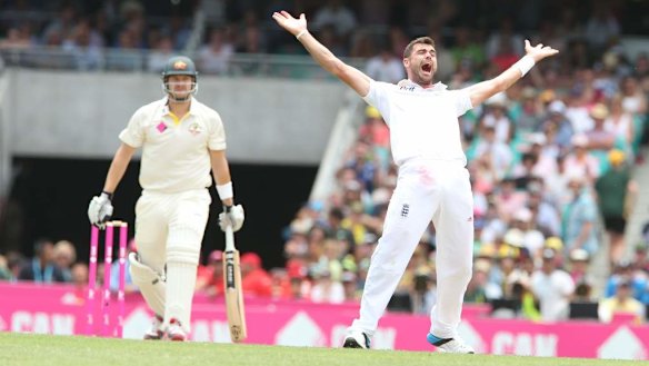 Shane Watson thinks about a review.