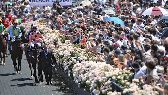 Racing is a big money-spinner.