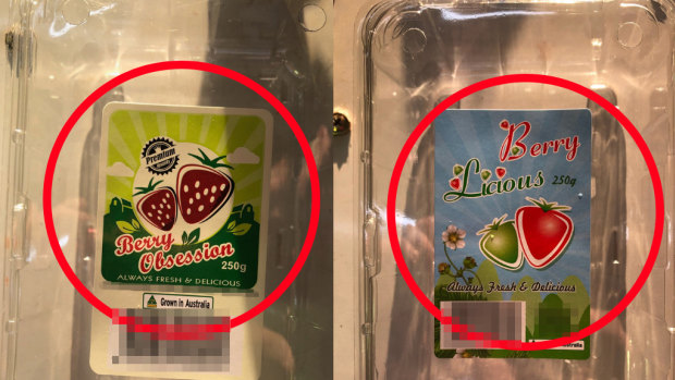 Berry Obsession and Berry Licious, the strawberry brands recalled over sewing needle contamination fears.