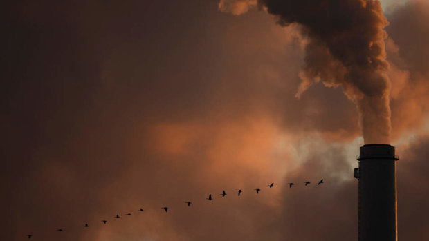 A flock of geese fly past a smokestack at the Jeffery Energy Centre coal power plant near Emmitt, Kansas.