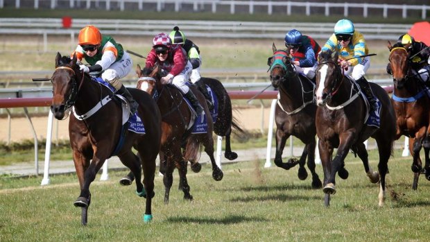 There are eight races scheduled in Goulburn today.