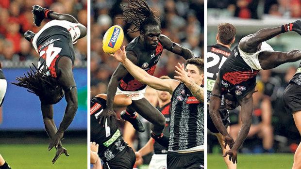 Anthony McDonald-Tipungwuti takes flight on Anzac Day