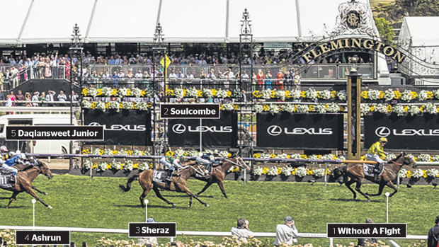 The first five horses across the line behind Without A Fight.