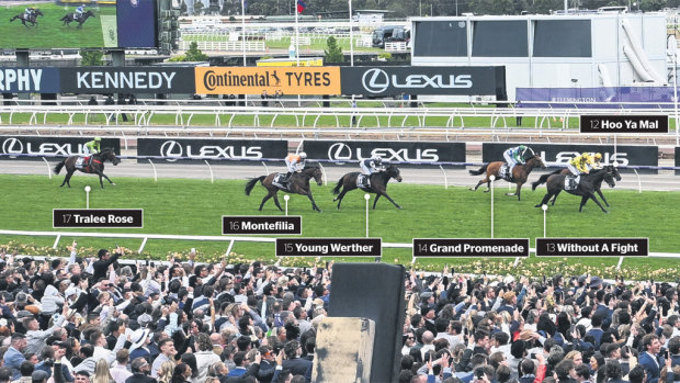 Final runners: Hoo Ya Mal, Without A Fight, Grand Promenade, Young Werther, Montefilia and Tralee Rose. NOT PICTURED: Duais, Numerian, Serpentine, Camorr and Interpretation.