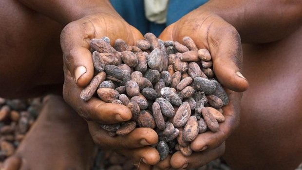 Woolworths found its seafood, cocoa and nuts suppliers in Bolivia, Ivory Coast and Vietnam had exposed its companies to extreme risks of forced labour.