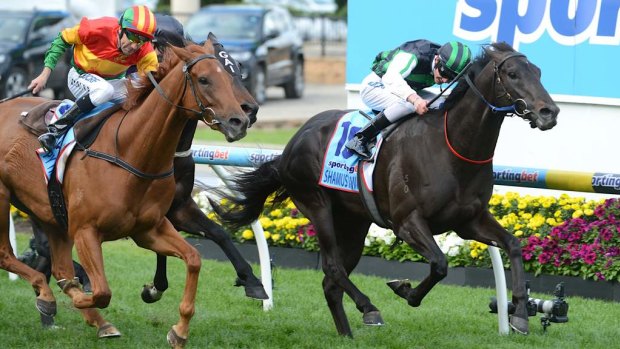 2013 Cox Plate winner Shamus Award is among several top-liners with progeny on display at Hawkesbury on Thursday.