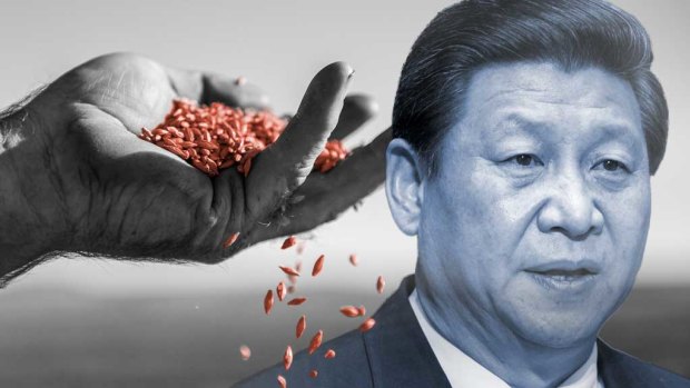 How to deal with a coercive China and its authoritarian leader Xi Jinping?
