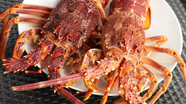 A storm is brewing for the state government over its plan to hand itself part of WA's rock lobster fishery.