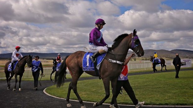 The Fred Cooper Cup is the big one at Goulburn on Thursday.