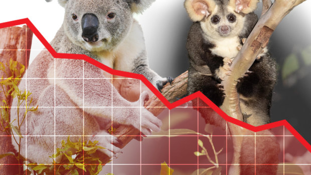 Federal electorates have been given a scorecard on their response to the biodiversity crisis.