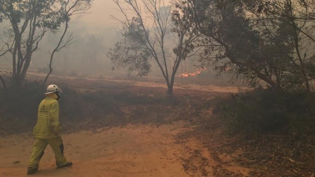 A firefighter at Happy Valley on Monday night as bushfire threatened the small township on the east coast of Fraser Island (K'gari).