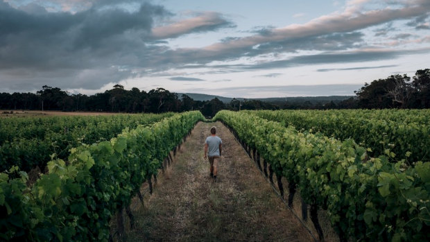 Windance Wines in Yallingup is one of the wineries that make up the Small Family Vineyards of Margaret River.