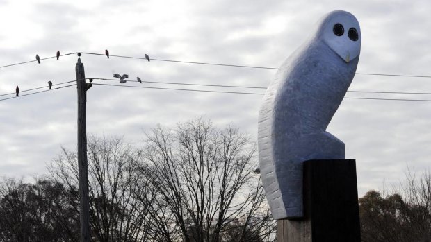 The Belconnen Owl has something of a cult following in Canberra.