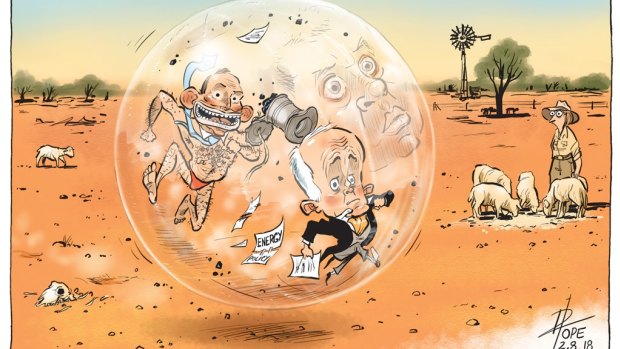 Exhibition curator Libby Stewart named David Pope's The Insiders as one of her five favourite cartoons.