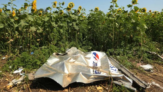 Debris from MH17, which was shot down over Ukraine in 2014.