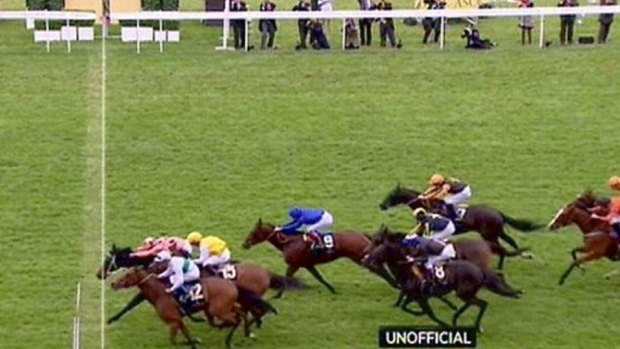 Heart-stopper: Black Caviar hangs on to win the Diamond Jubilee Stakes at Ascot.