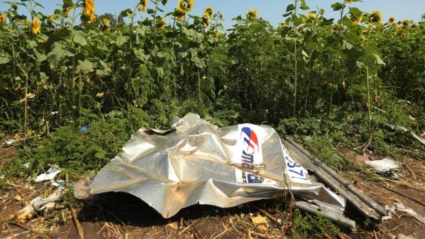 Debris from MH17, which was shot down over Ukraine in 2014.