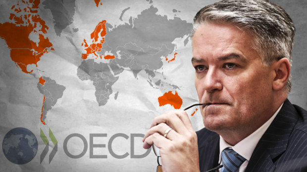 Mathias Cormann is flying around the world campaigning to be appointed secretary-general of the OECD. 