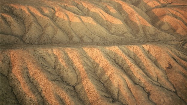 The San Andreas Fault ... which San Francisco and Los Angeles are built on. 