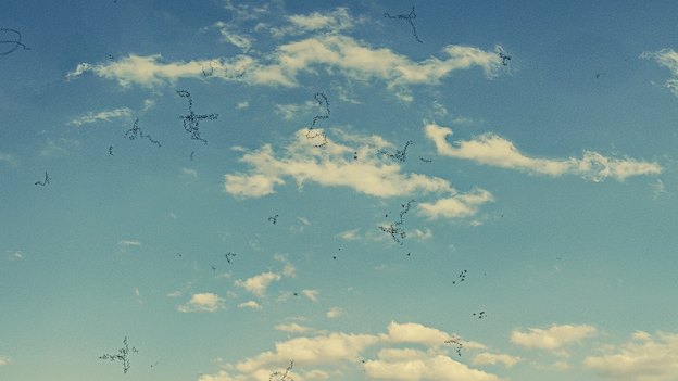 Something in the air: An artists’ impression of so-called “floaters”.