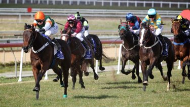 There are seven races scheduled in Goulburn today.