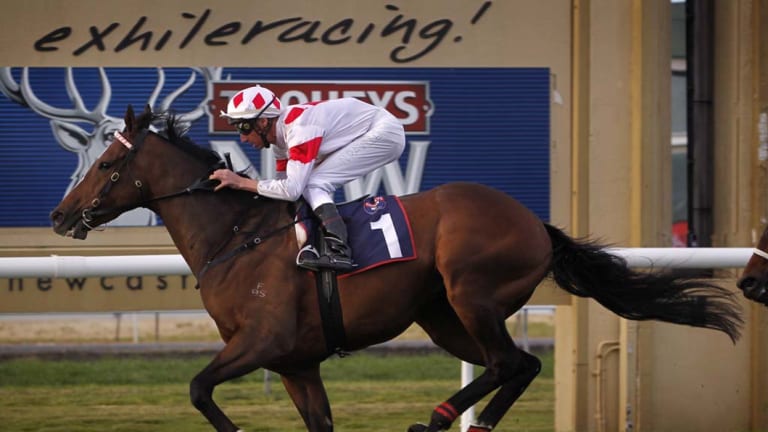 Beautiful Broadmeadow: Racing returns to Newcastle  on Sunday with an eight-race card.