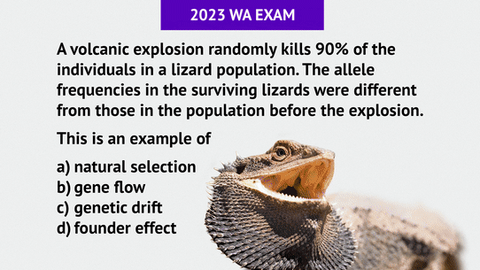 2023 WACE exam v 2025 HSC exam. 