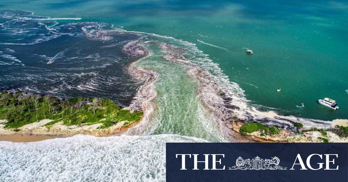 Queensland's 'other sea change' is altering the coastline forever - Vimarsana News