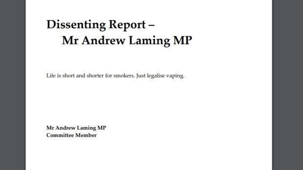 Liberal MP Andrew Laming lodged a 10-word dissenting report, supporting the legalisation of e-cigarettes.