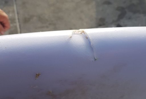 The surfboard believed to have been bitten by the shark at South Cronulla.